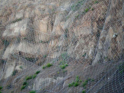 産品名稱：SNS柔性防護網